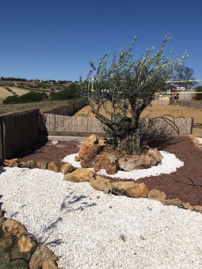 Finca Andalucia Кониль-де-ла-Фронтера Экстерьер фото