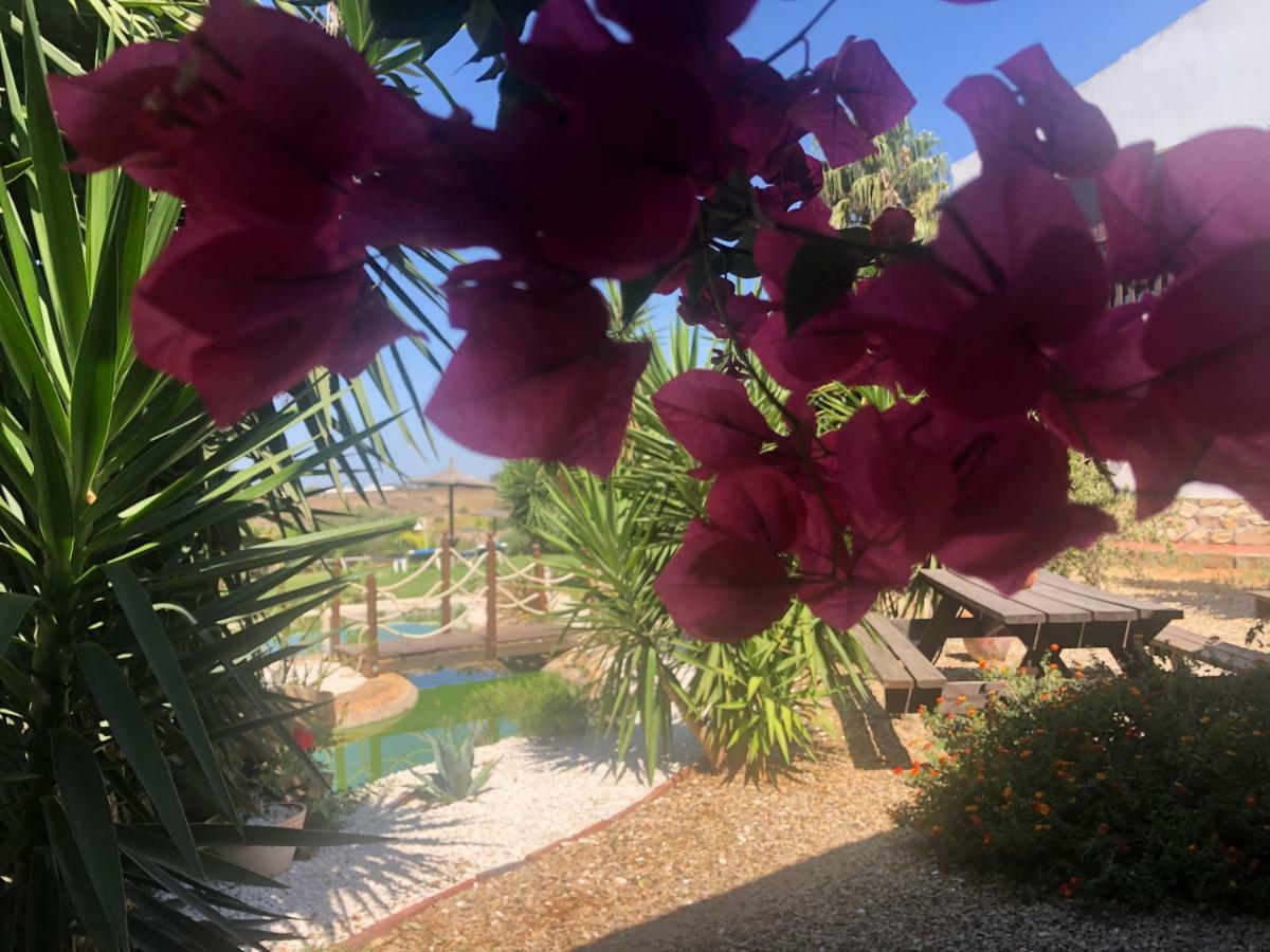 Finca Andalucia Кониль-де-ла-Фронтера Экстерьер фото